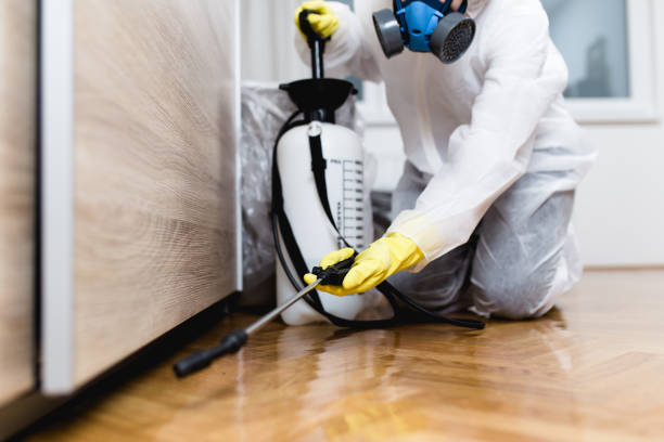 Best Mosquito Control Services  in East Richmond Heights, CA