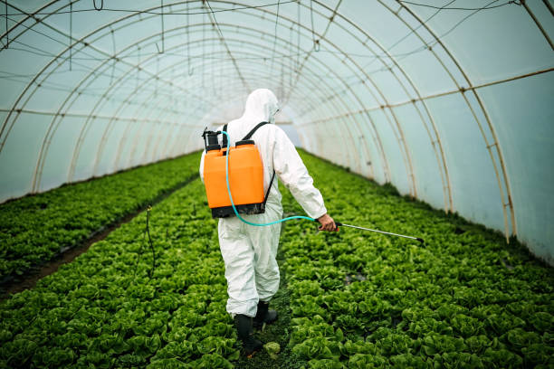 Best Best Pest Control Companies  in East Richmond Heights, CA
