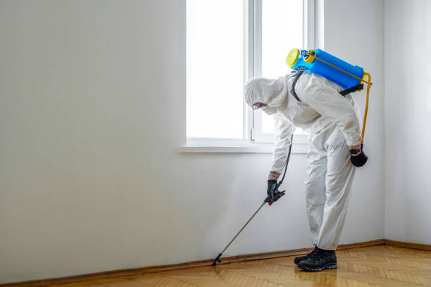 Best Residential Pest Control  in East Richmond Heights, CA
