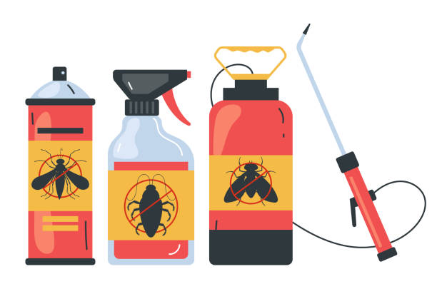 Best Termite Control Services  in East Richmond Heights, CA